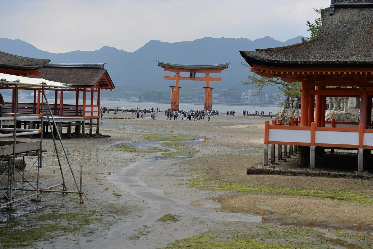 Visitors standing on the exposed seabed around the vermilion torii at low tide, with the shrine's stilted halls either side